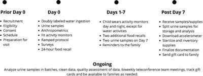 Energy expenditure and weight-related behaviors in youth with Down syndrome: a protocol